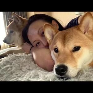 Meet your Posher, Wendy